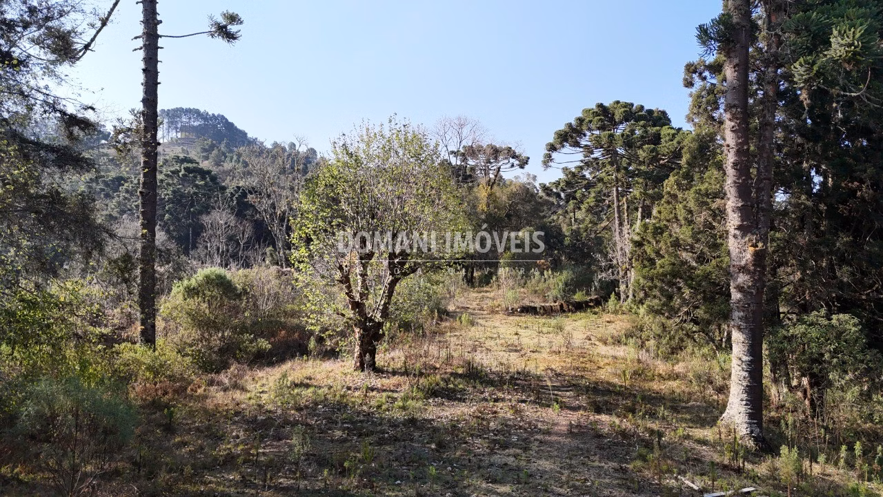 Plot of 6 acres in Campos do Jordão, SP, Brazil