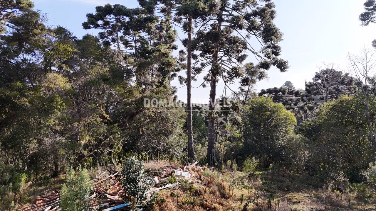 Plot of 6 acres in Campos do Jordão, SP, Brazil