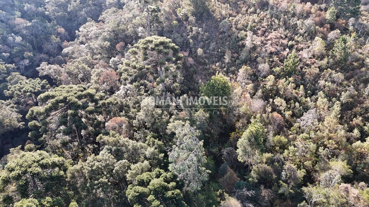 Plot of 6 acres in Campos do Jordão, SP, Brazil