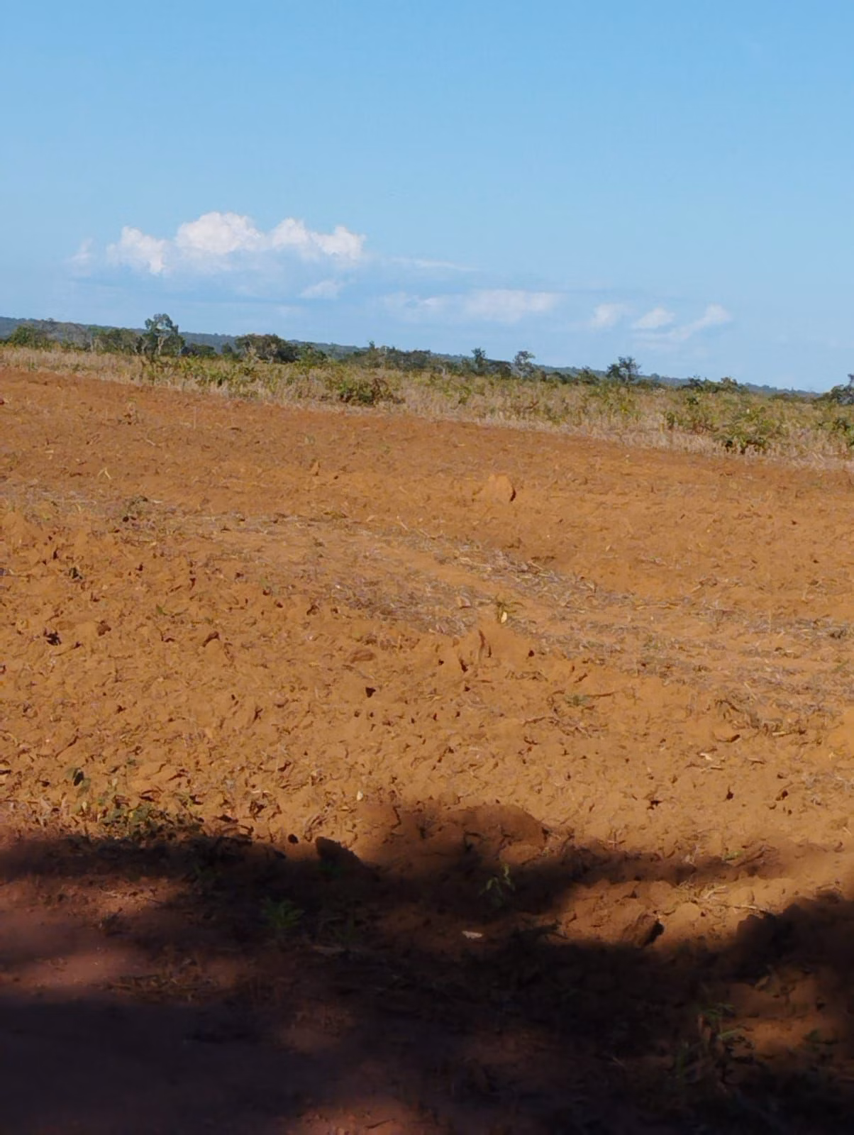 Fazenda de 1.046 ha em Fernando Falcão, MA