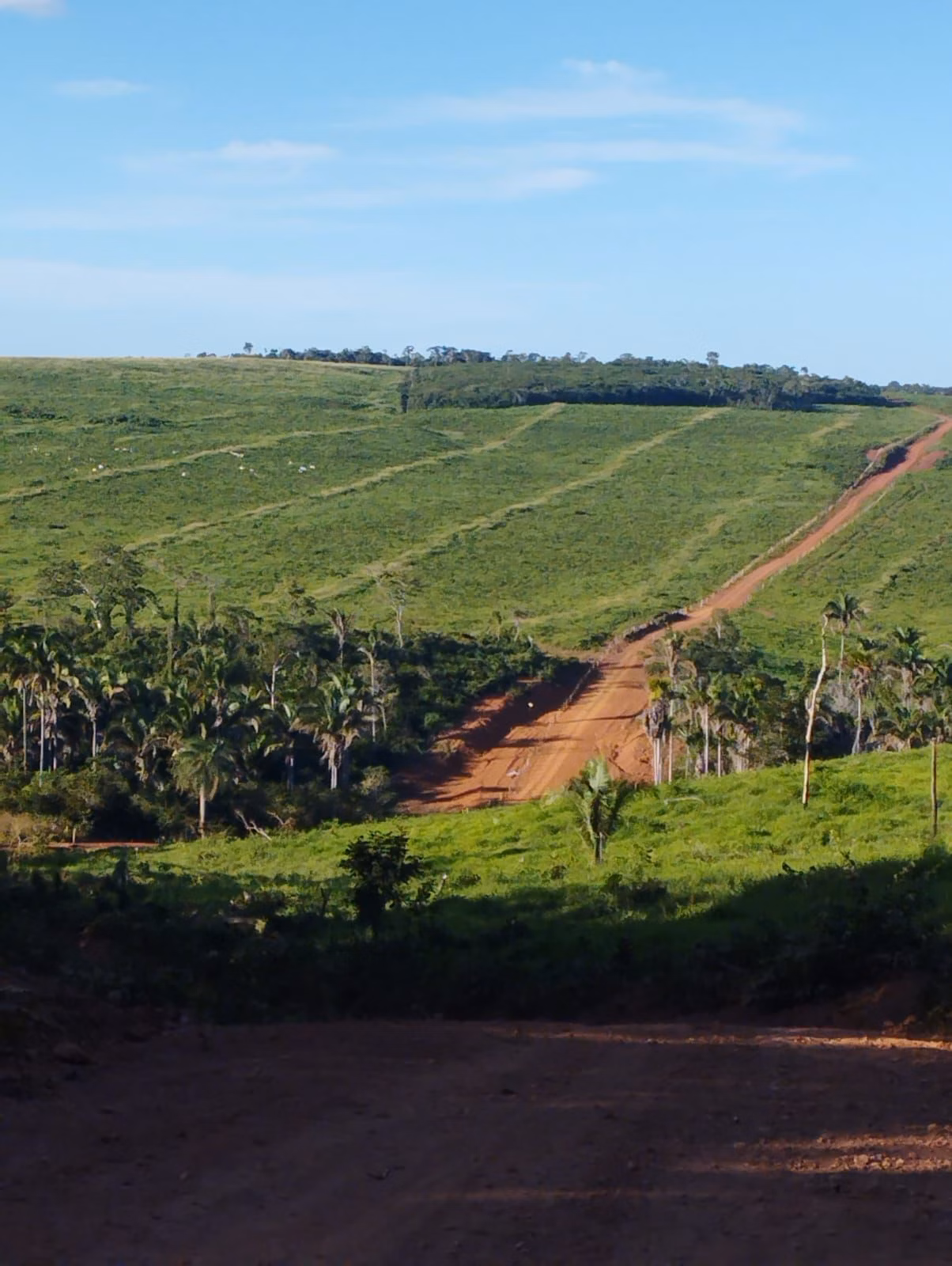 Fazenda de 1.046 ha em Fernando Falcão, MA