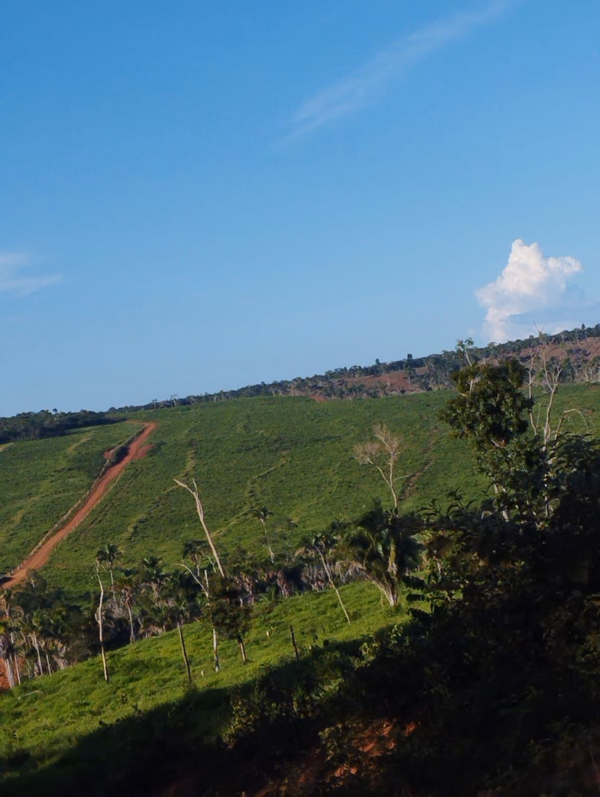 Fazenda de 1.046 ha em Fernando Falcão, MA