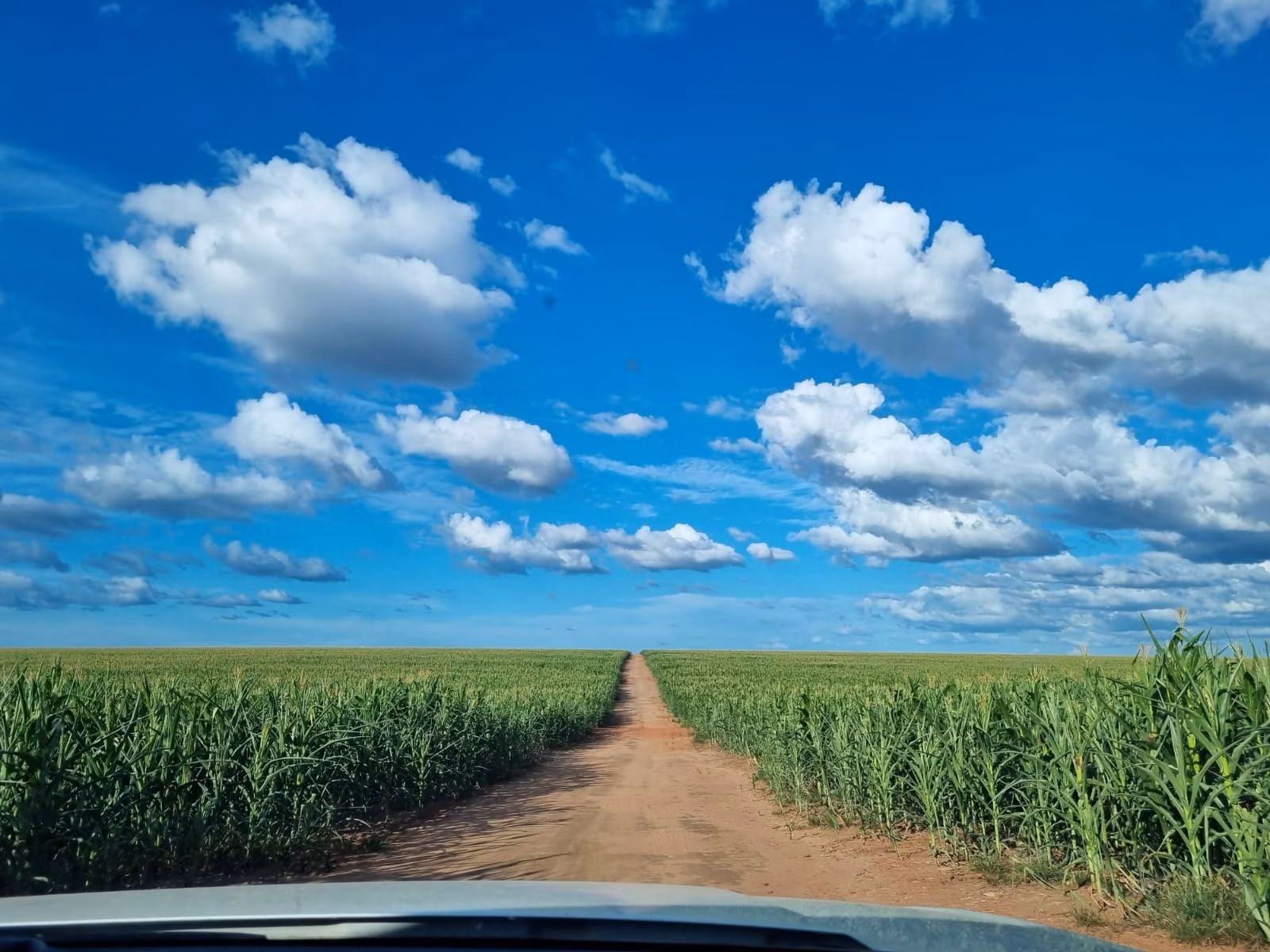 Fazenda de 1.046 ha em Fernando Falcão, MA
