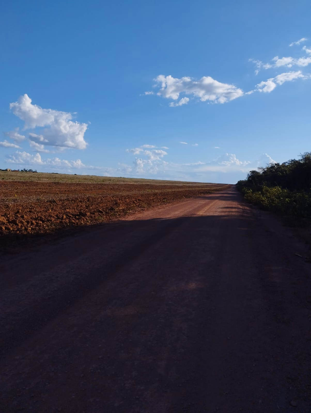 Farm zum Verkauf und zur Pacht von 1.046 ha in Fernando Falcão, MA