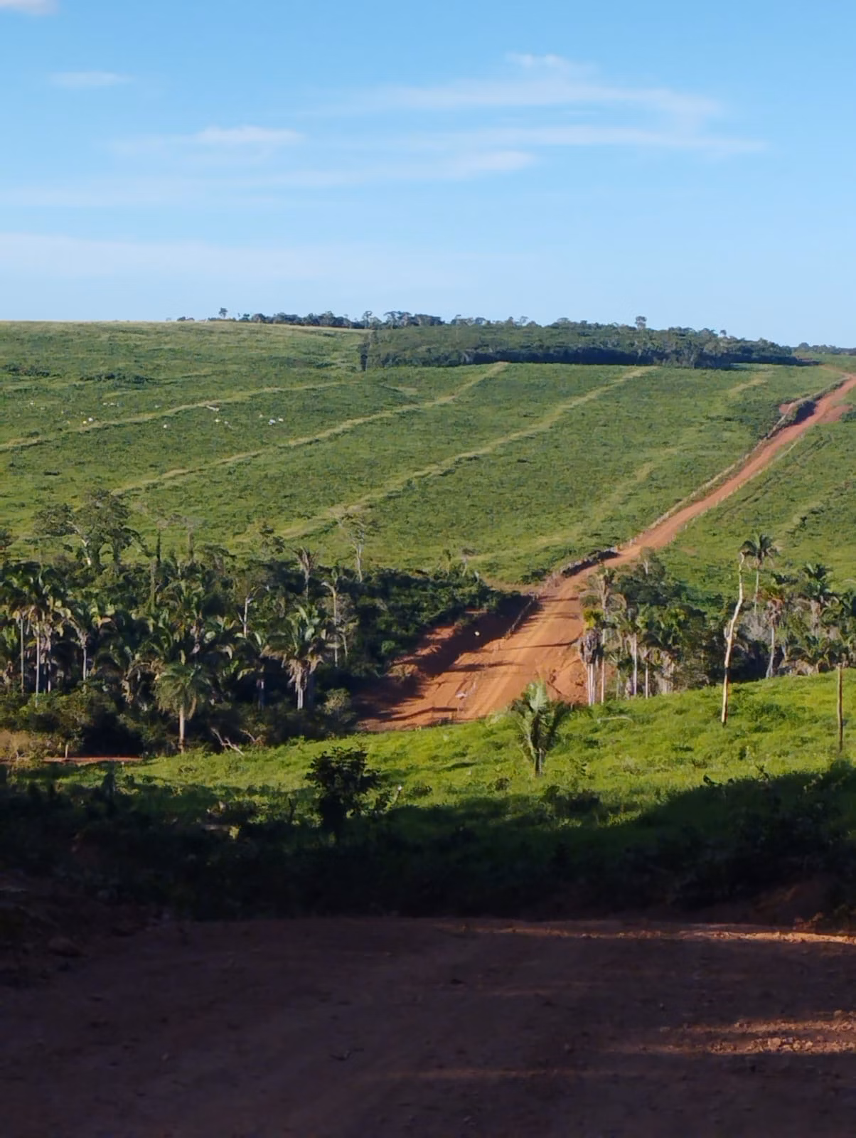 Farm zum Verkauf und zur Pacht von 1.046 ha in Fernando Falcão, MA