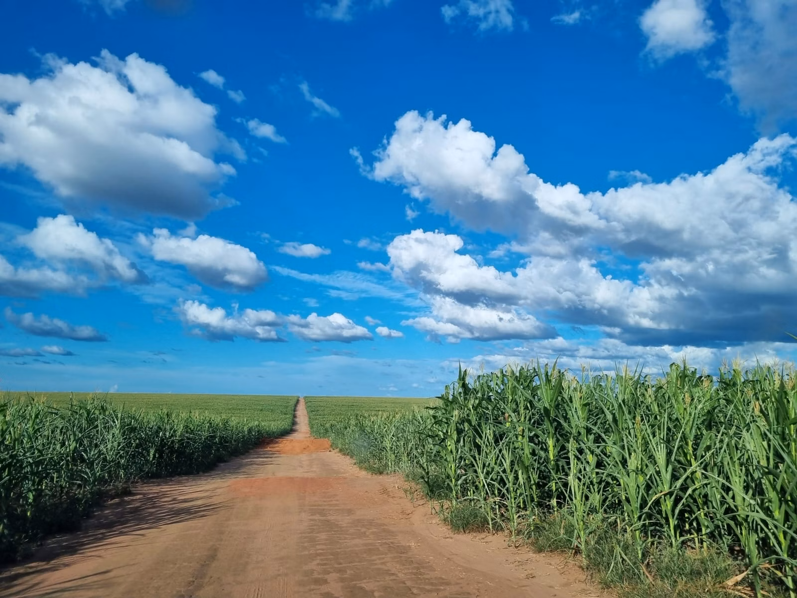 Fazenda de 1.046 ha em Fernando Falcão, MA