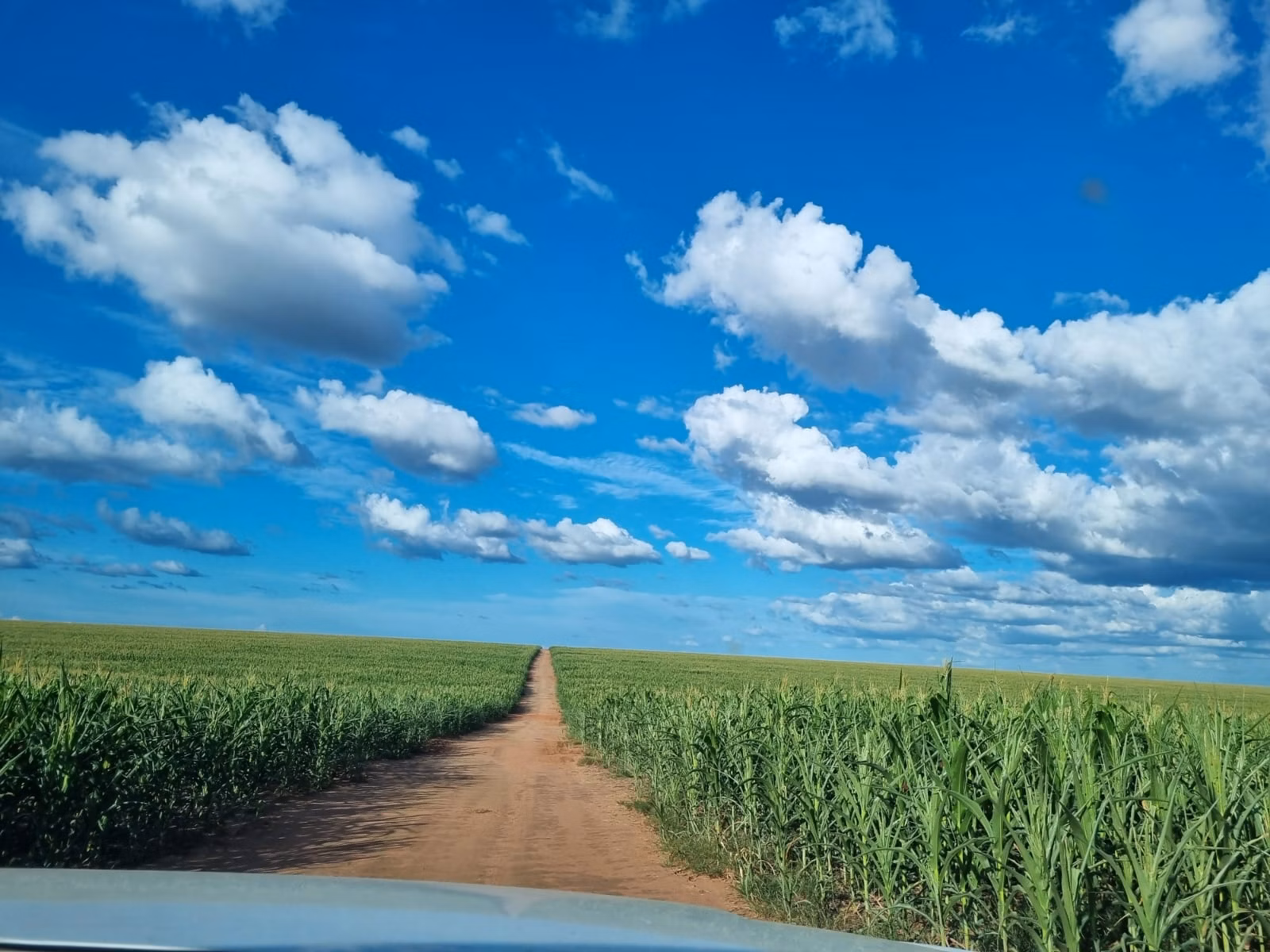 Fazenda de 1.046 ha em Fernando Falcão, MA