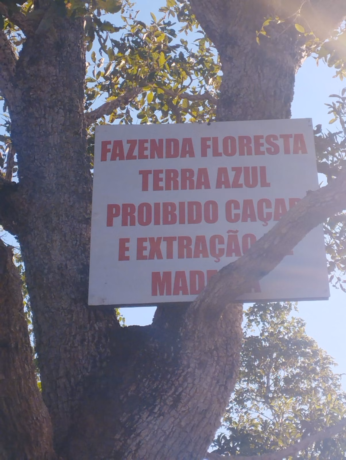 Fazenda de 1.046 ha em Fernando Falcão, MA
