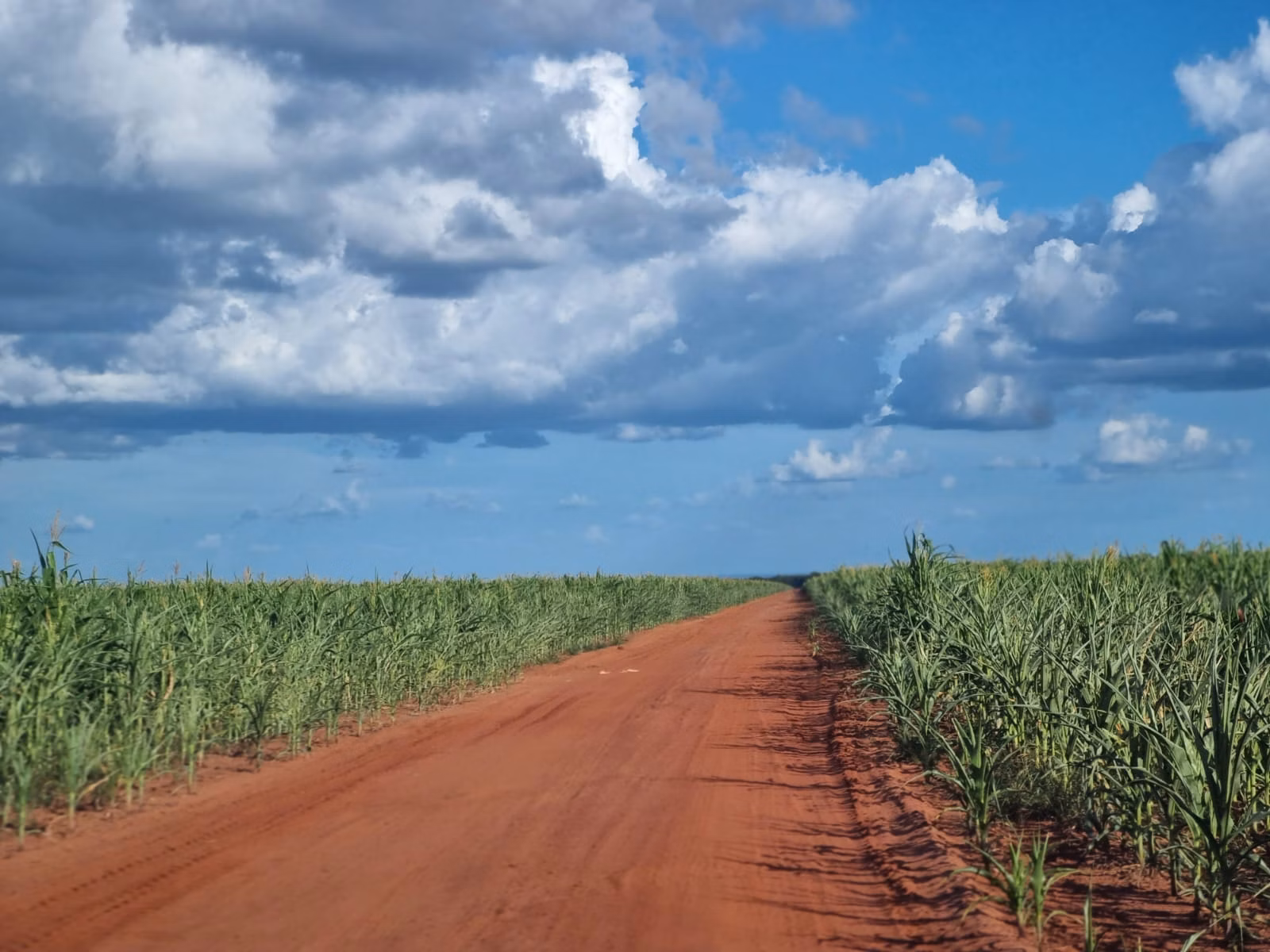Fazenda de 1.046 ha em Fernando Falcão, MA