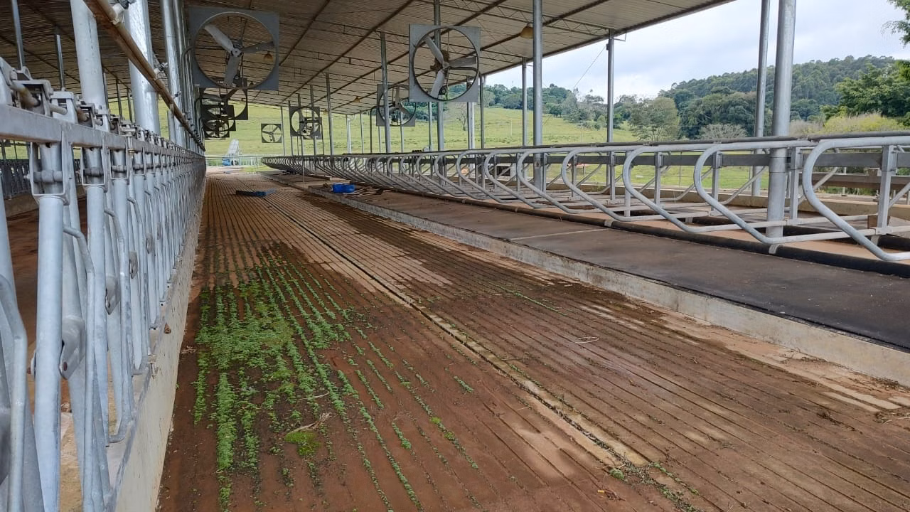 Fazenda de 123 ha em Angatuba, SP