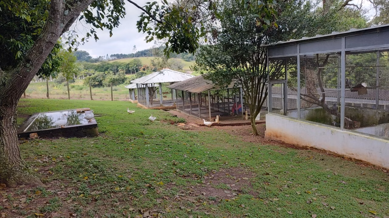 Fazenda de 123 ha em Angatuba, SP