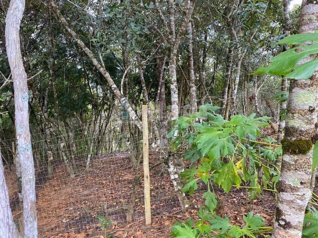 Chácara de 3.600 m² em Nova Trento, SC