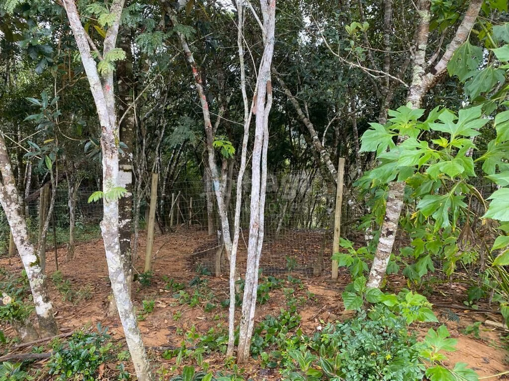 Chácara de 3.600 m² em Nova Trento, SC