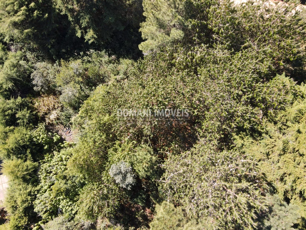 Plot of 1,090 m² in Campos do Jordão, SP, Brazil