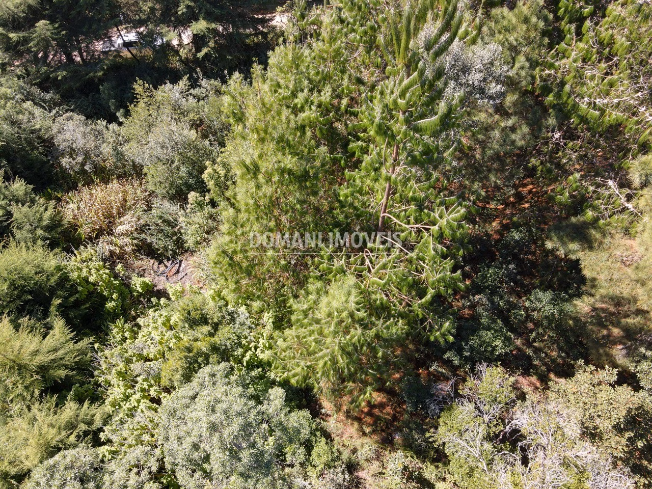 Terreno de 1.090 m² em Campos do Jordão, SP