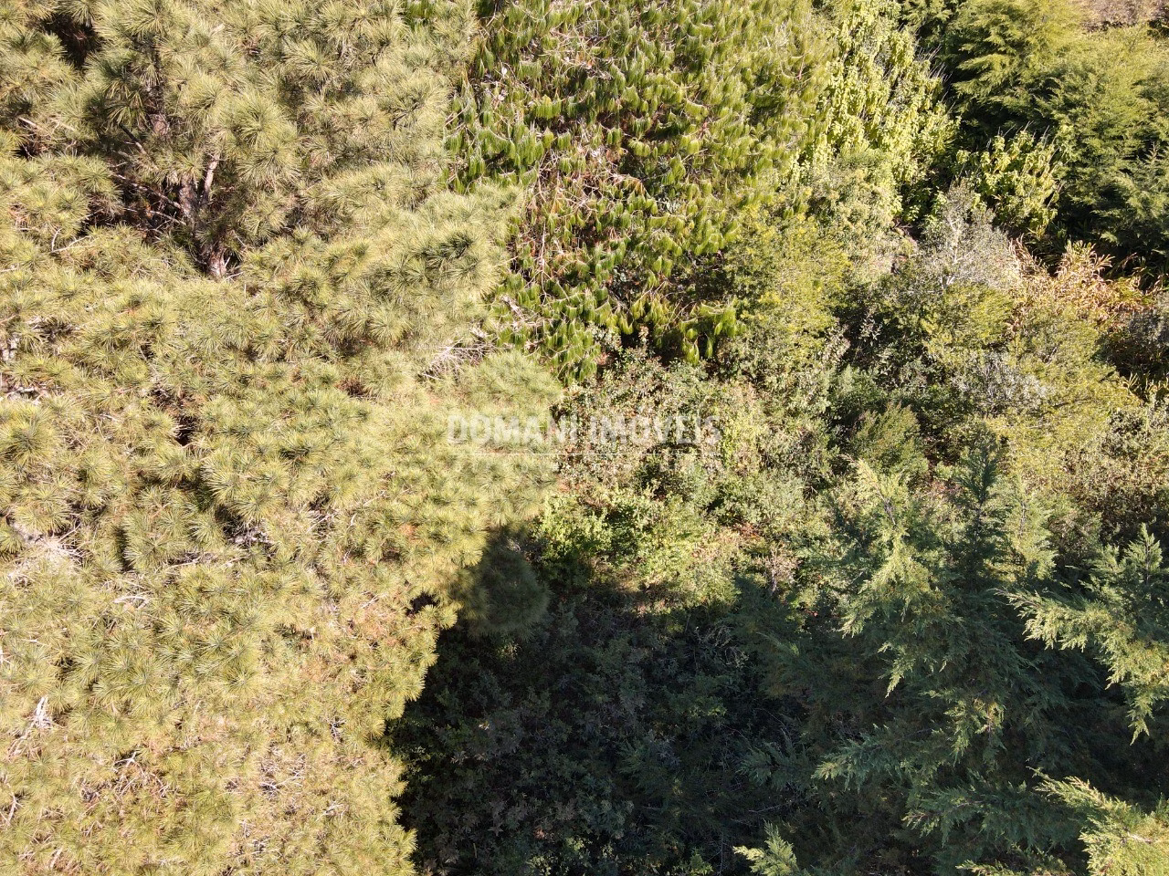 Plot of 1,090 m² in Campos do Jordão, SP, Brazil