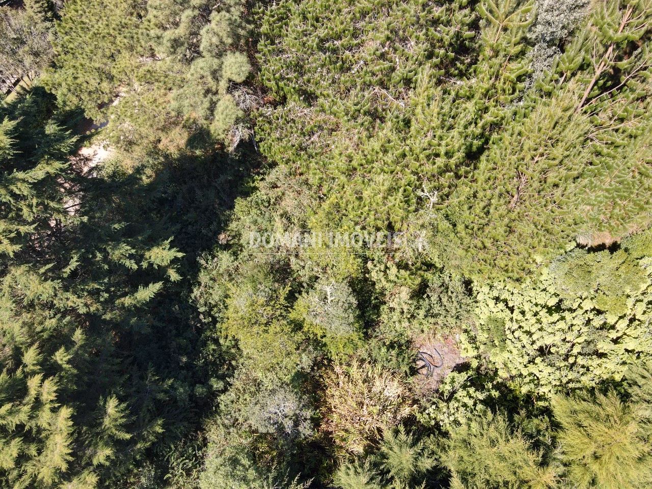 Plot of 1,090 m² in Campos do Jordão, SP, Brazil
