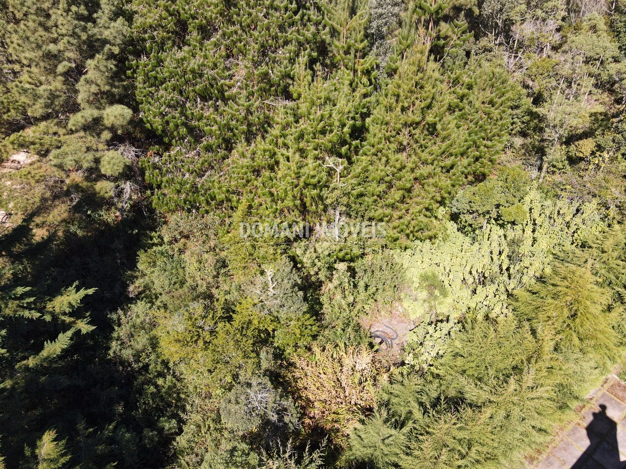 Plot of 1,090 m² in Campos do Jordão, SP, Brazil