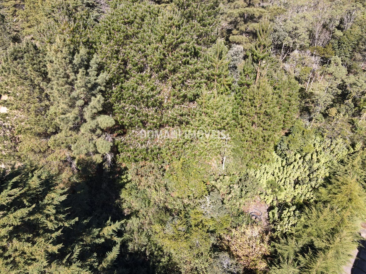 Plot of 1,090 m² in Campos do Jordão, SP, Brazil