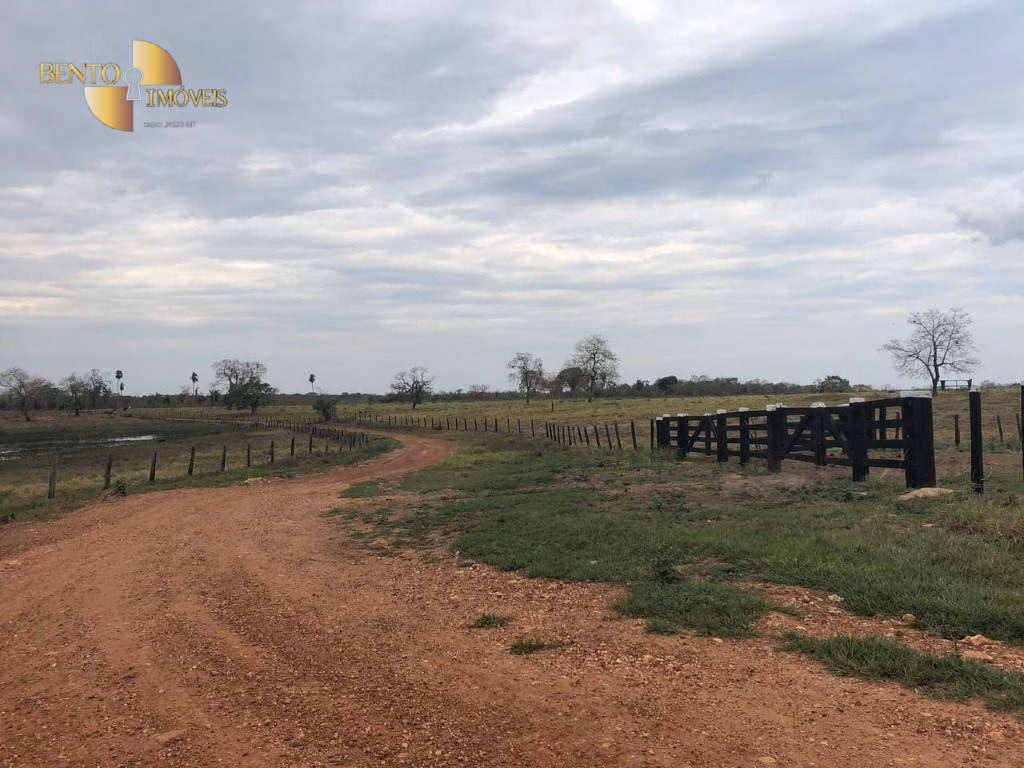 Farm of 811 acres in Poconé, MT, Brazil