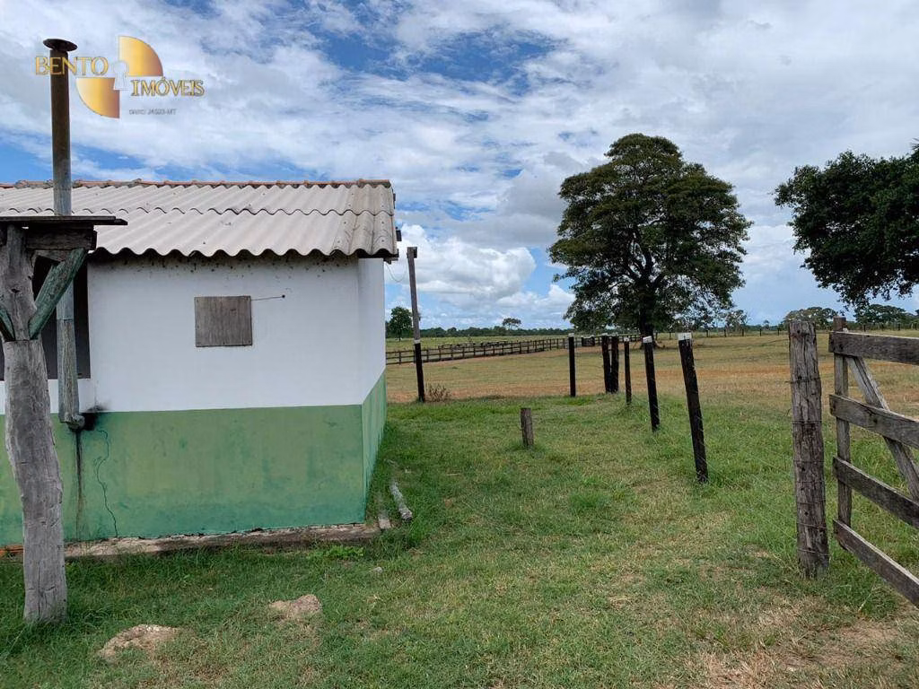 Farm of 811 acres in Poconé, MT, Brazil