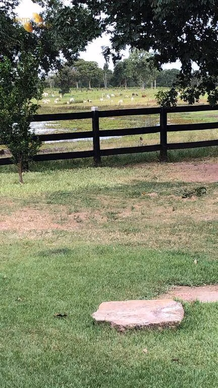 Farm of 811 acres in Poconé, MT, Brazil