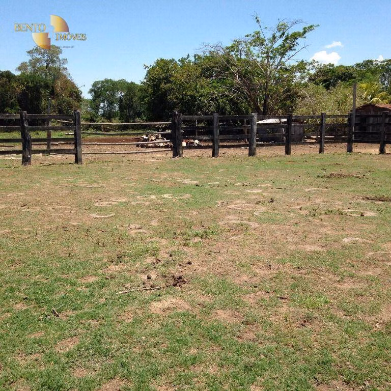 Farm of 811 acres in Poconé, MT, Brazil