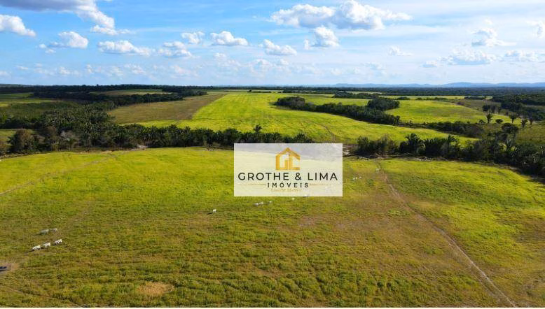 Fazenda de 4.393 ha em Ananás, TO