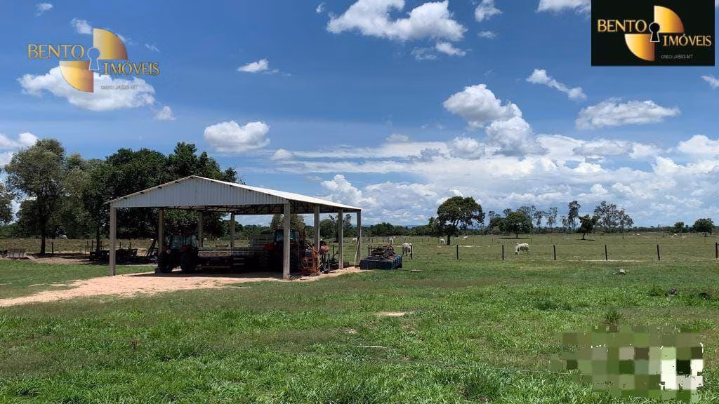 Fazenda de 485 ha em Cuiabá, MT