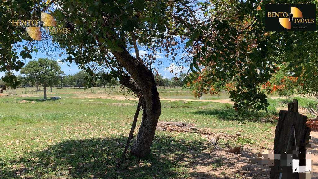 Fazenda de 485 ha em Cuiabá, MT
