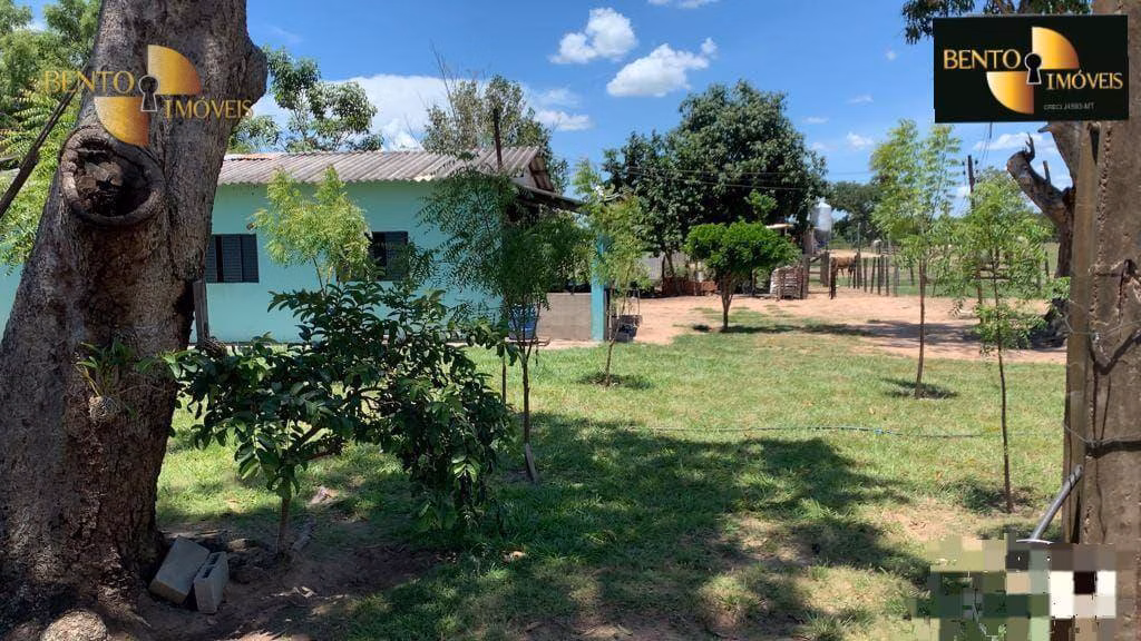 Fazenda de 485 ha em Cuiabá, MT