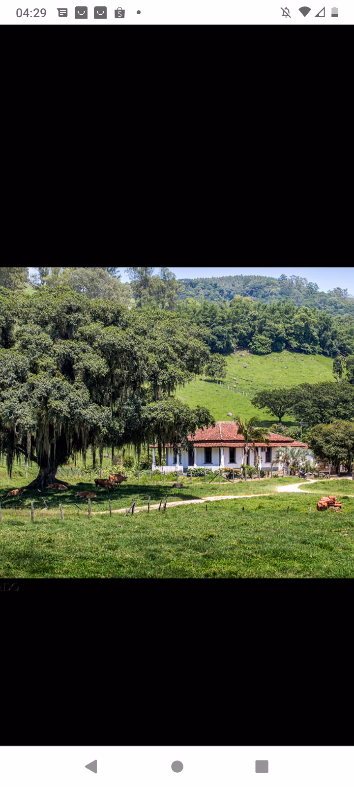 Terreno de 3 ha em Grão-Pará, SC