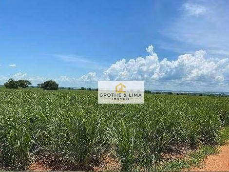 Fazenda de 415 ha em Panorama, SP
