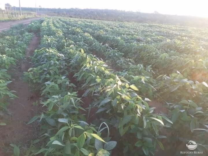 Fazenda de 1.960 ha em Catalão, GO