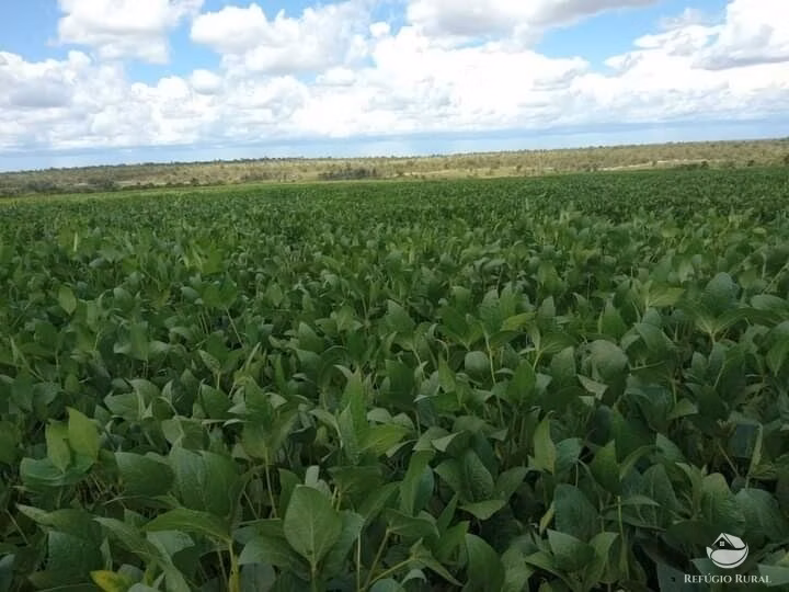 Fazenda de 1.960 ha em Catalão, GO