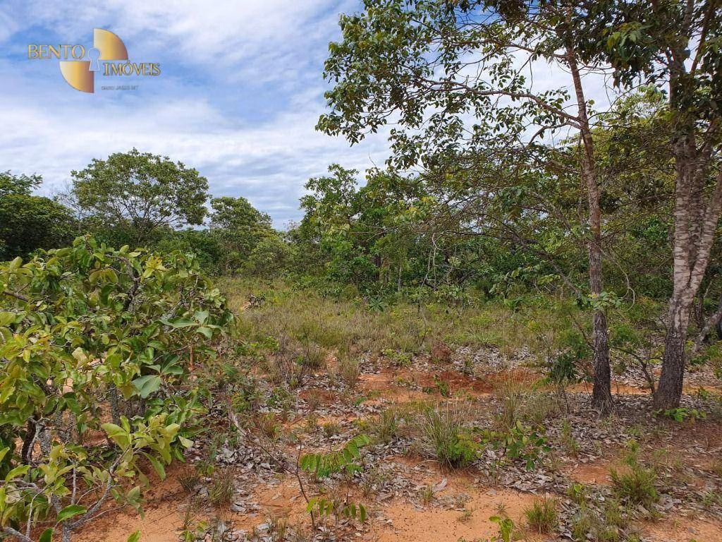Fazenda de 1.930 ha em Guiratinga, MT