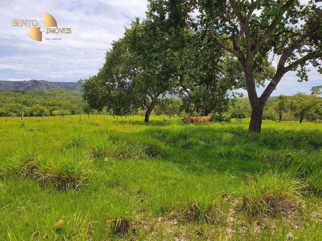 Fazenda de 1.930 ha em Guiratinga, MT