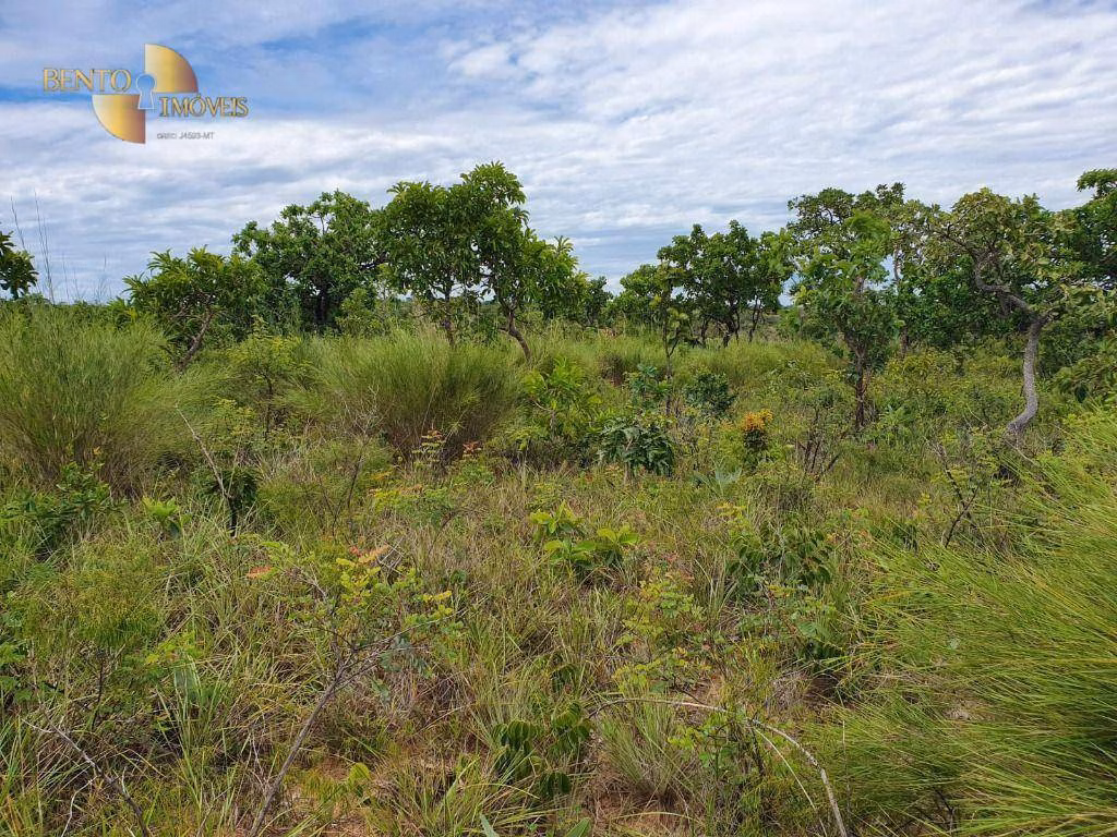 Fazenda de 1.930 ha em Guiratinga, MT