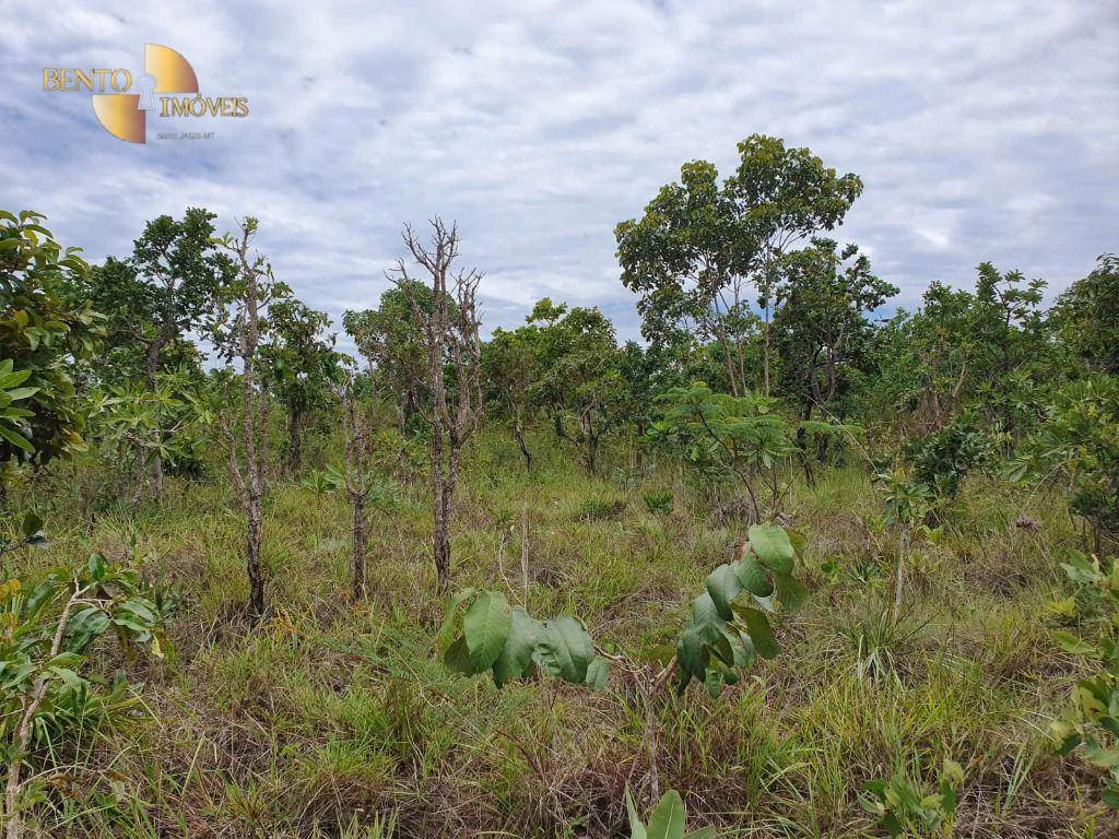 Fazenda de 1.930 ha em Guiratinga, MT