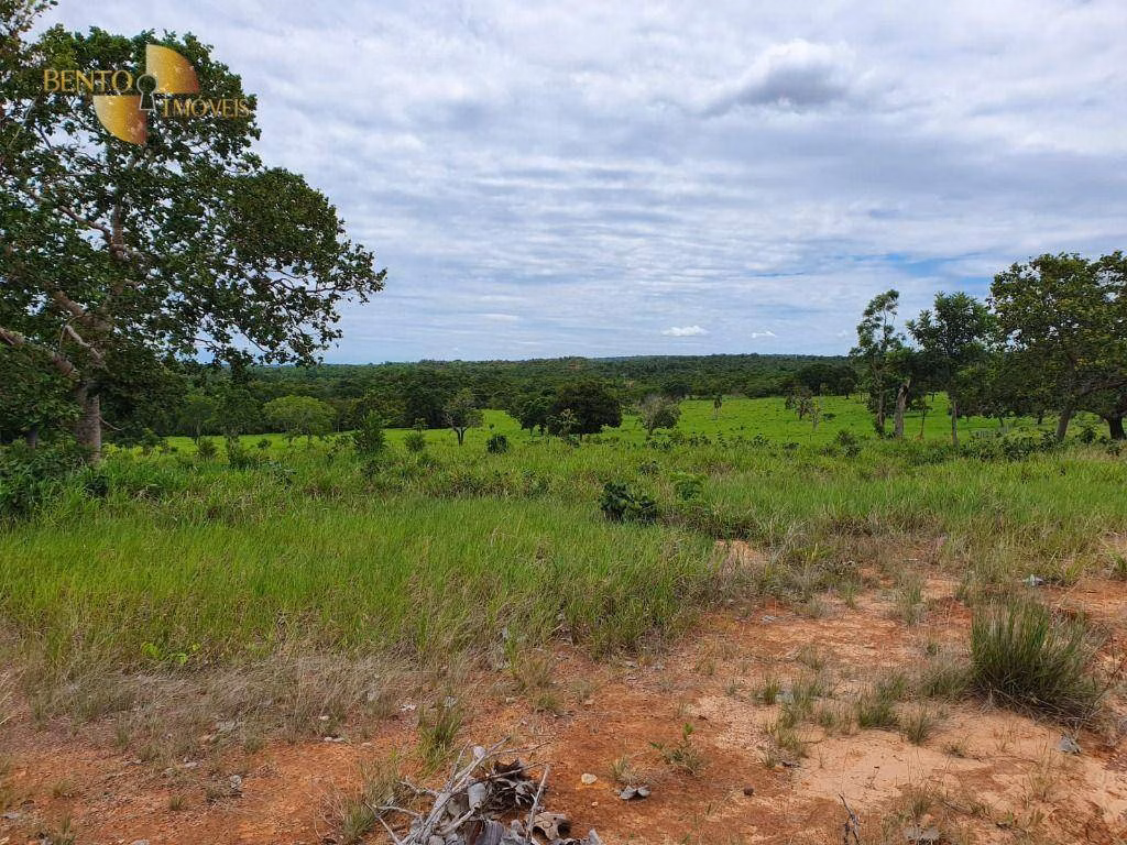 Fazenda de 1.930 ha em Guiratinga, MT