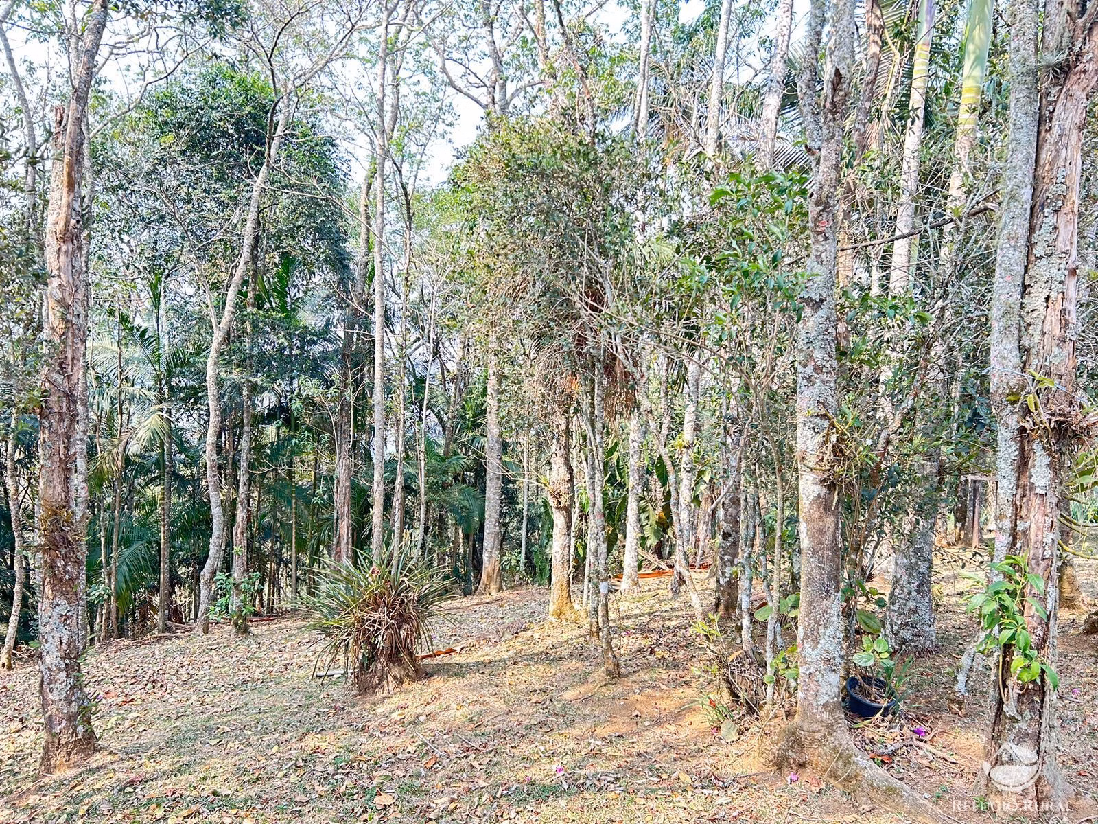 Sítio de 36 ha em São José dos Campos, SP