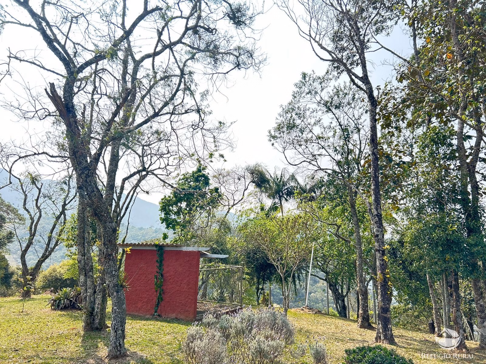 Sítio de 36 ha em São José dos Campos, SP