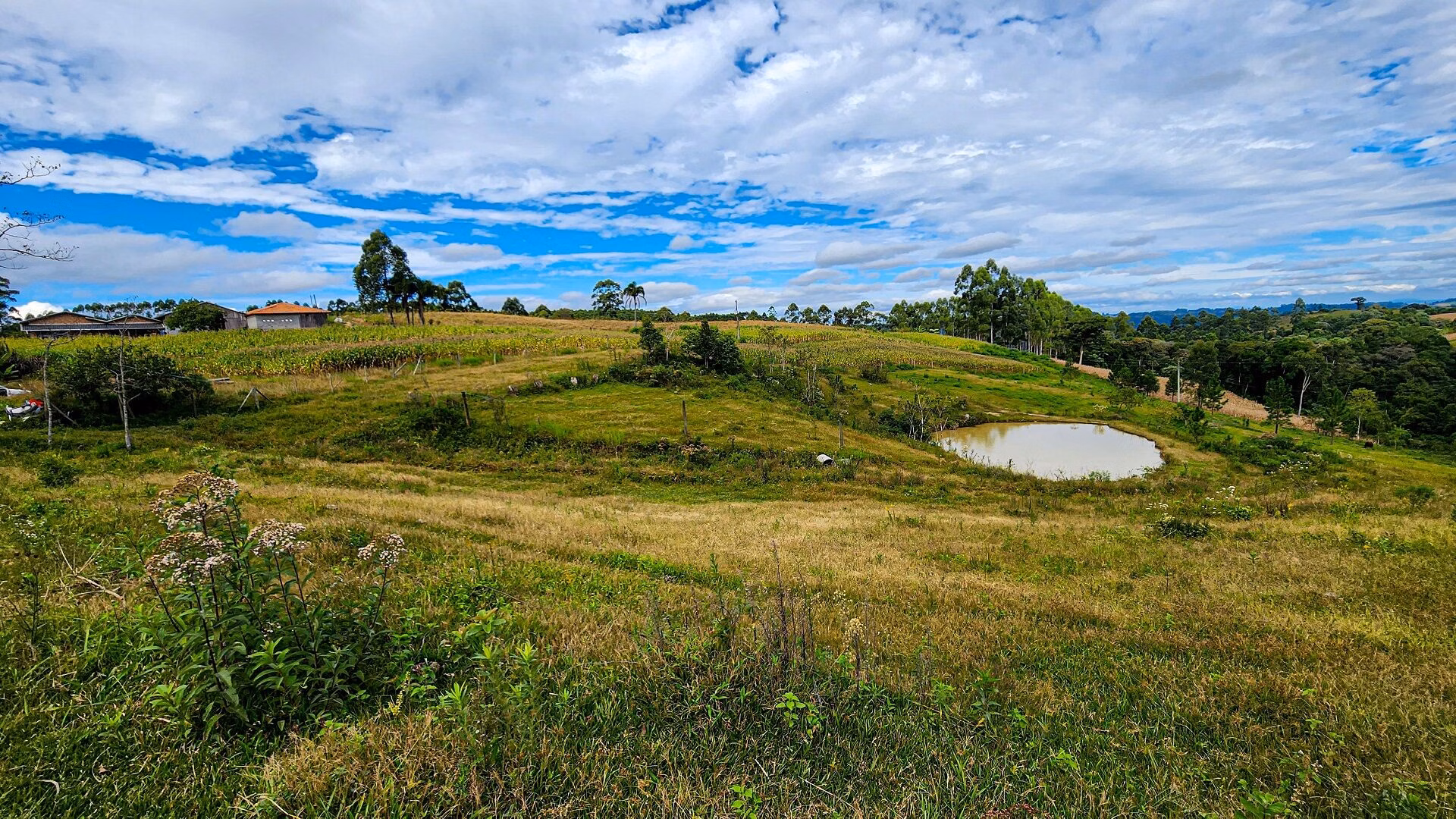 Terreno de 3 ha em Witmarsum, SC