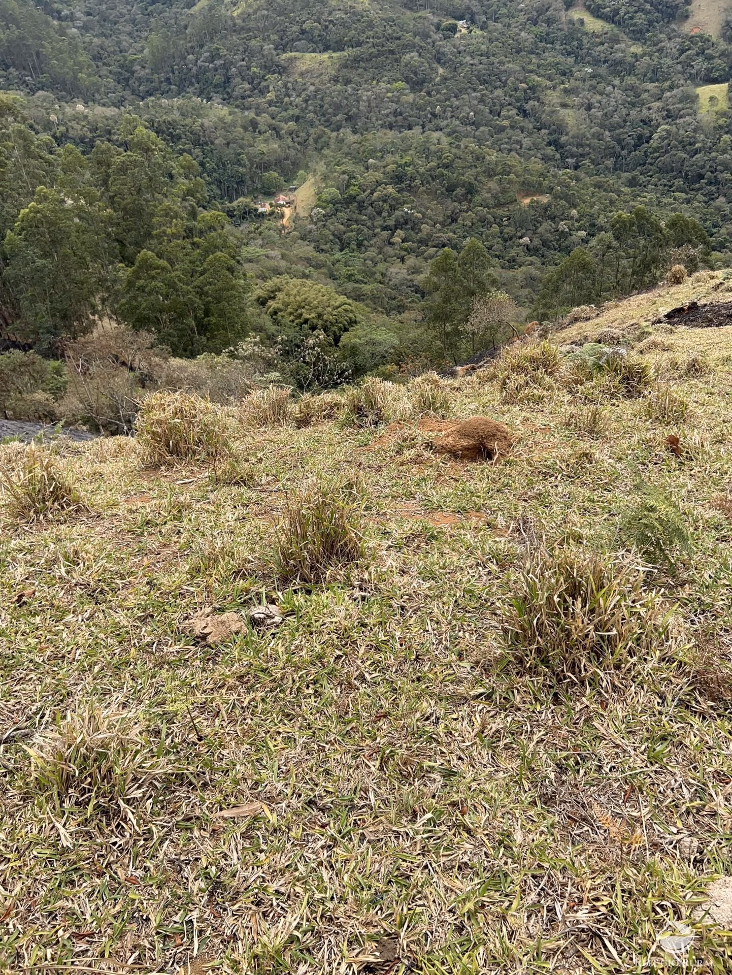 Terreno de 2 ha em São José dos Campos, SP