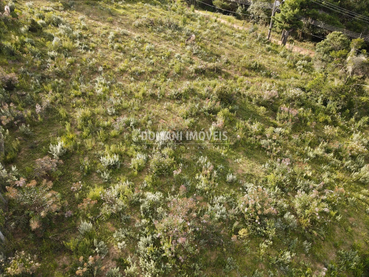 Plot of 2,020 m² in Campos do Jordão, SP, Brazil