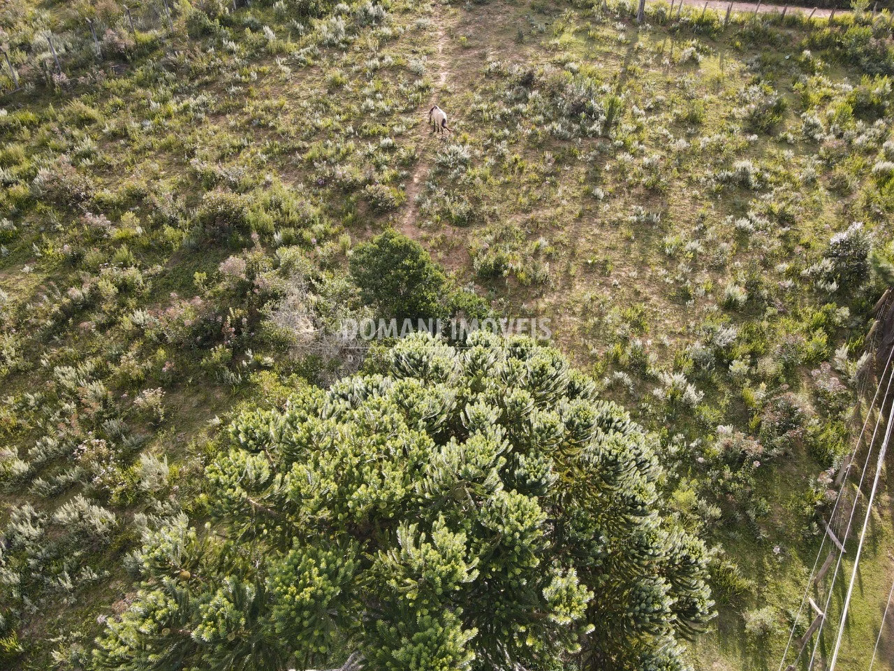 Terreno de 2.020 m² em Campos do Jordão, SP