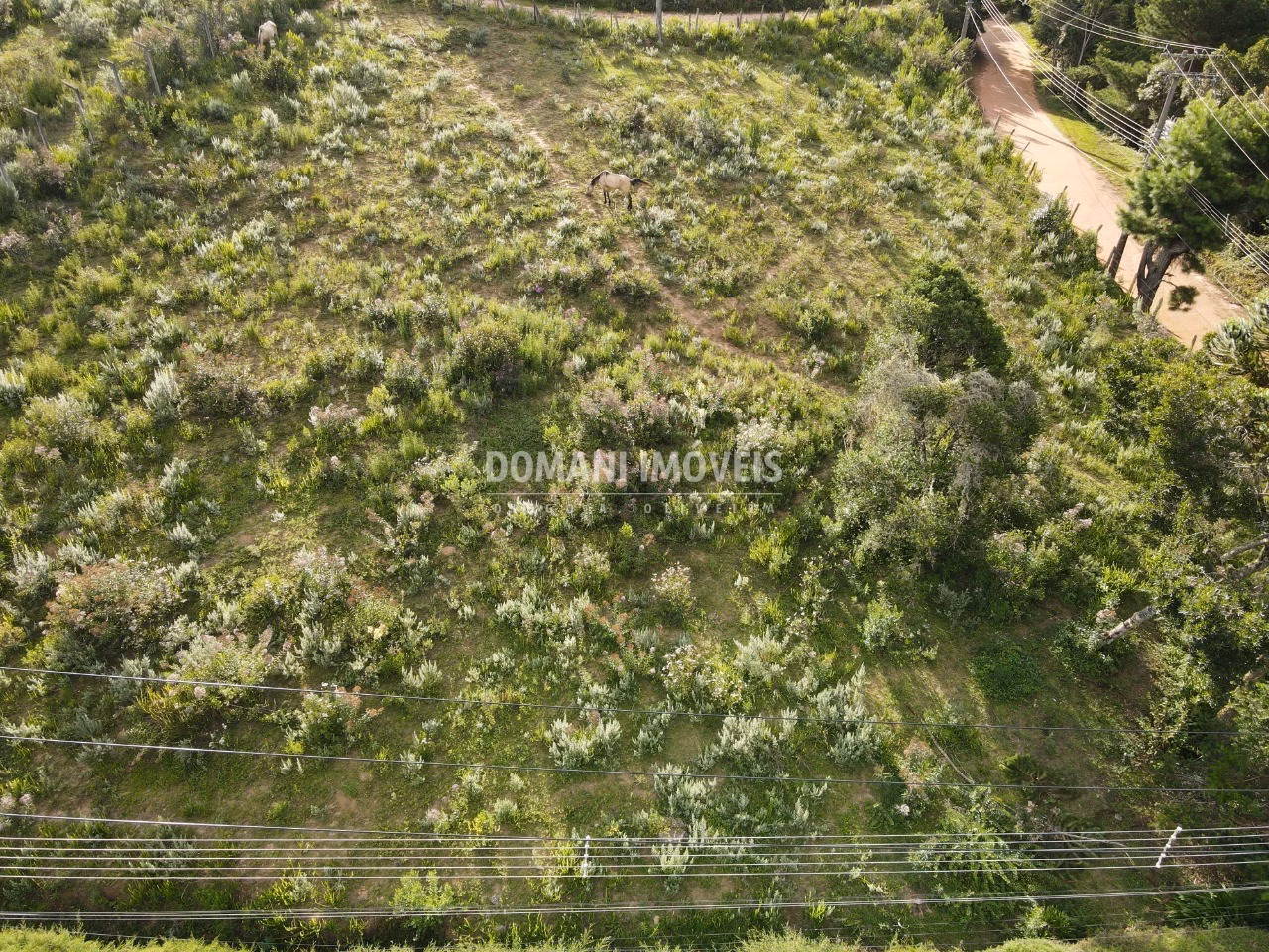 Plot of 2,020 m² in Campos do Jordão, SP, Brazil