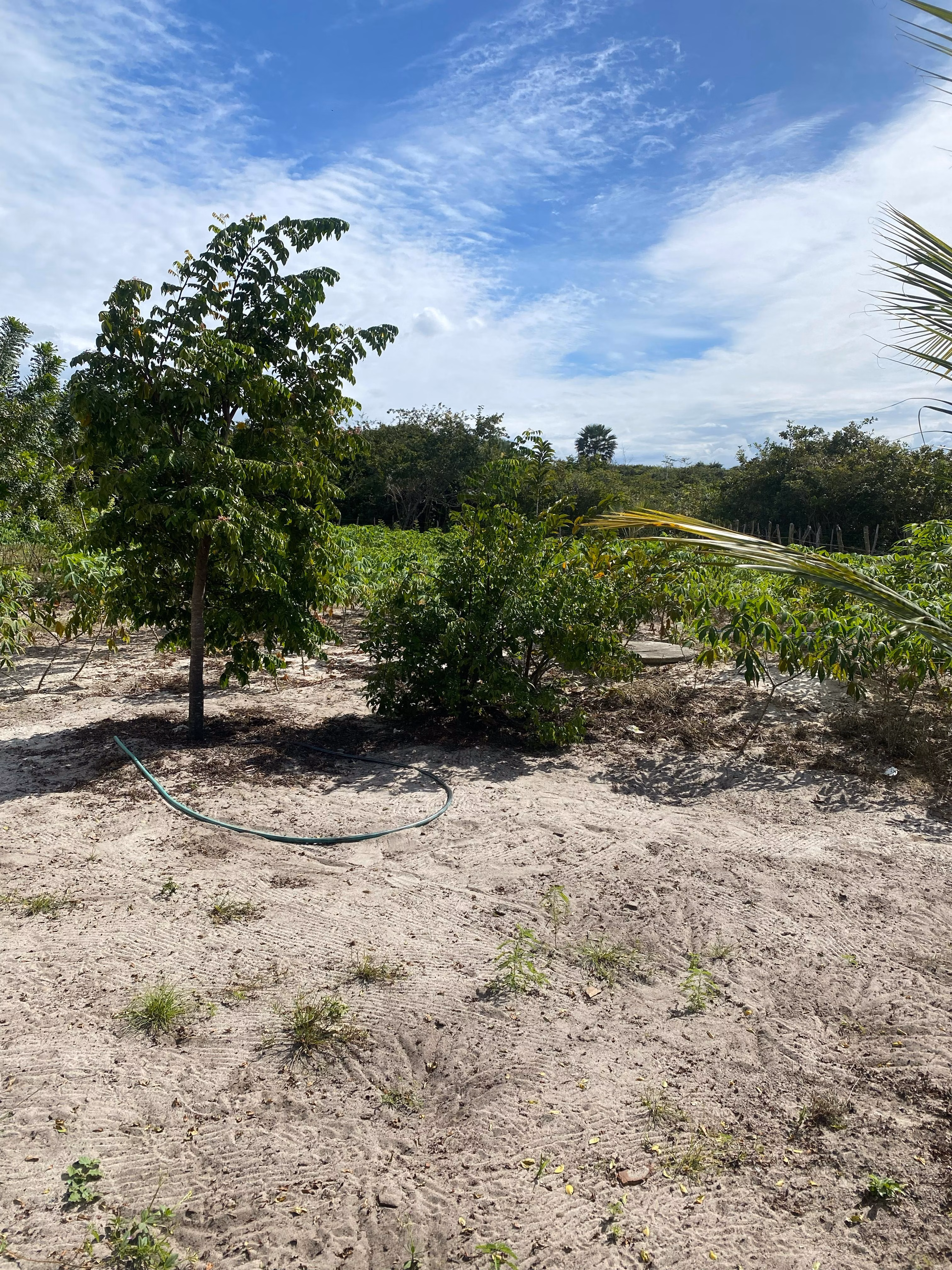 Country home of 2 acres in Paracuru, CE, Brazil