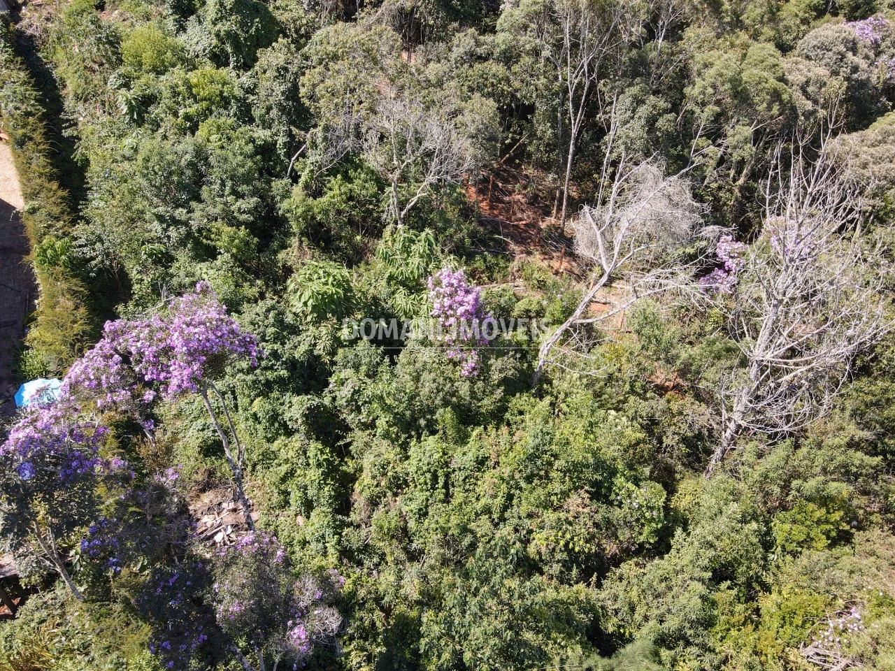 Plot of 1,080 m² in Campos do Jordão, SP, Brazil