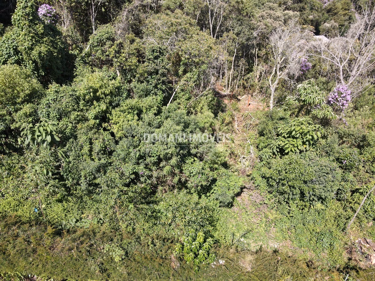 Plot of 1,080 m² in Campos do Jordão, SP, Brazil